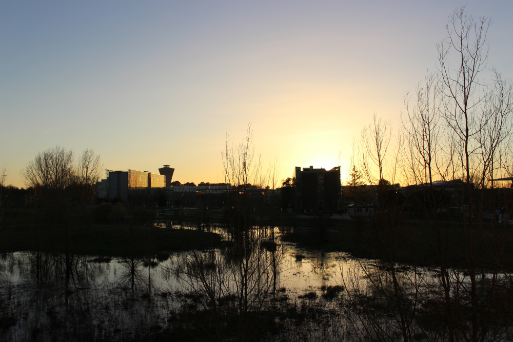 Sunset Bordeaux