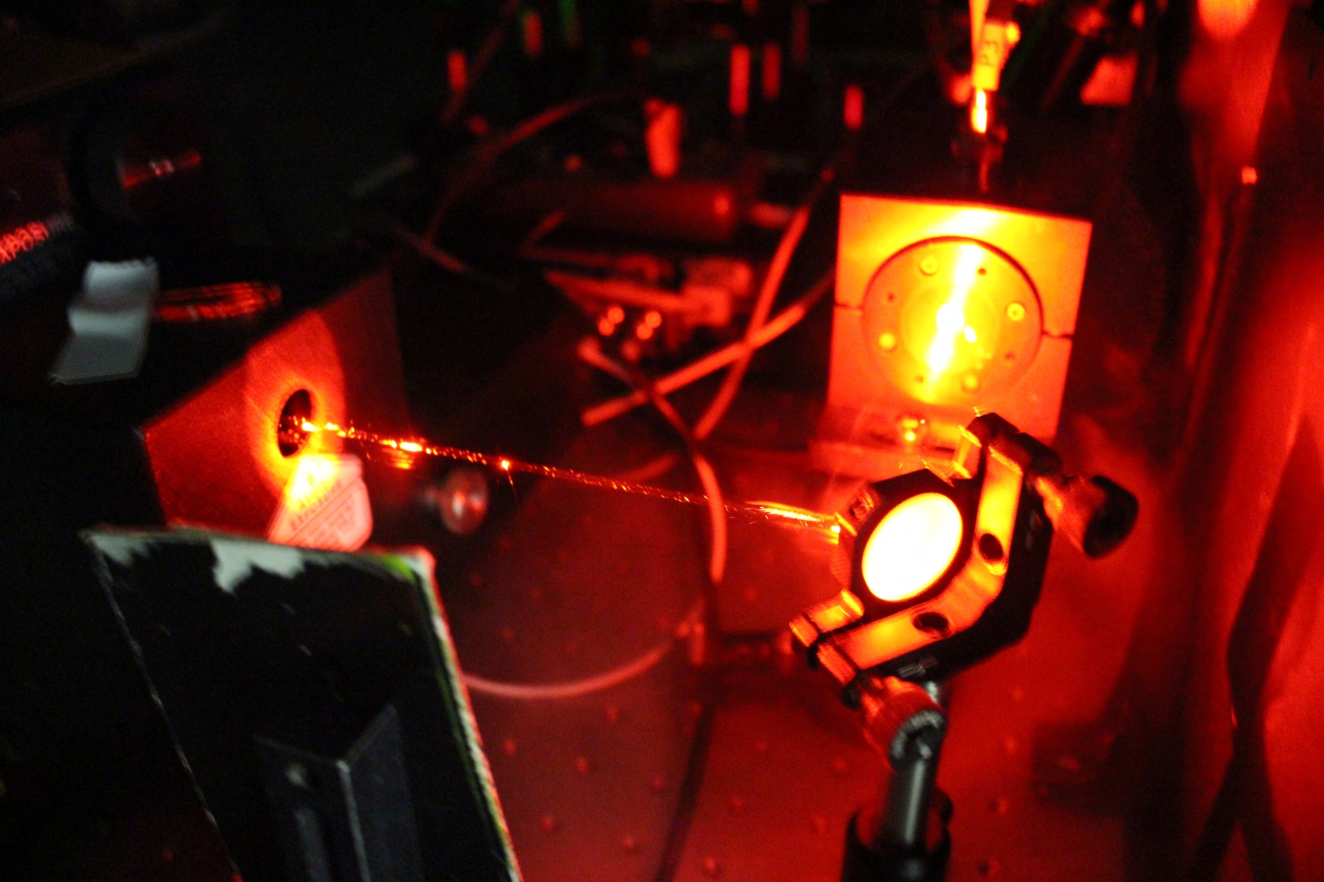 Lab-Pictures_13