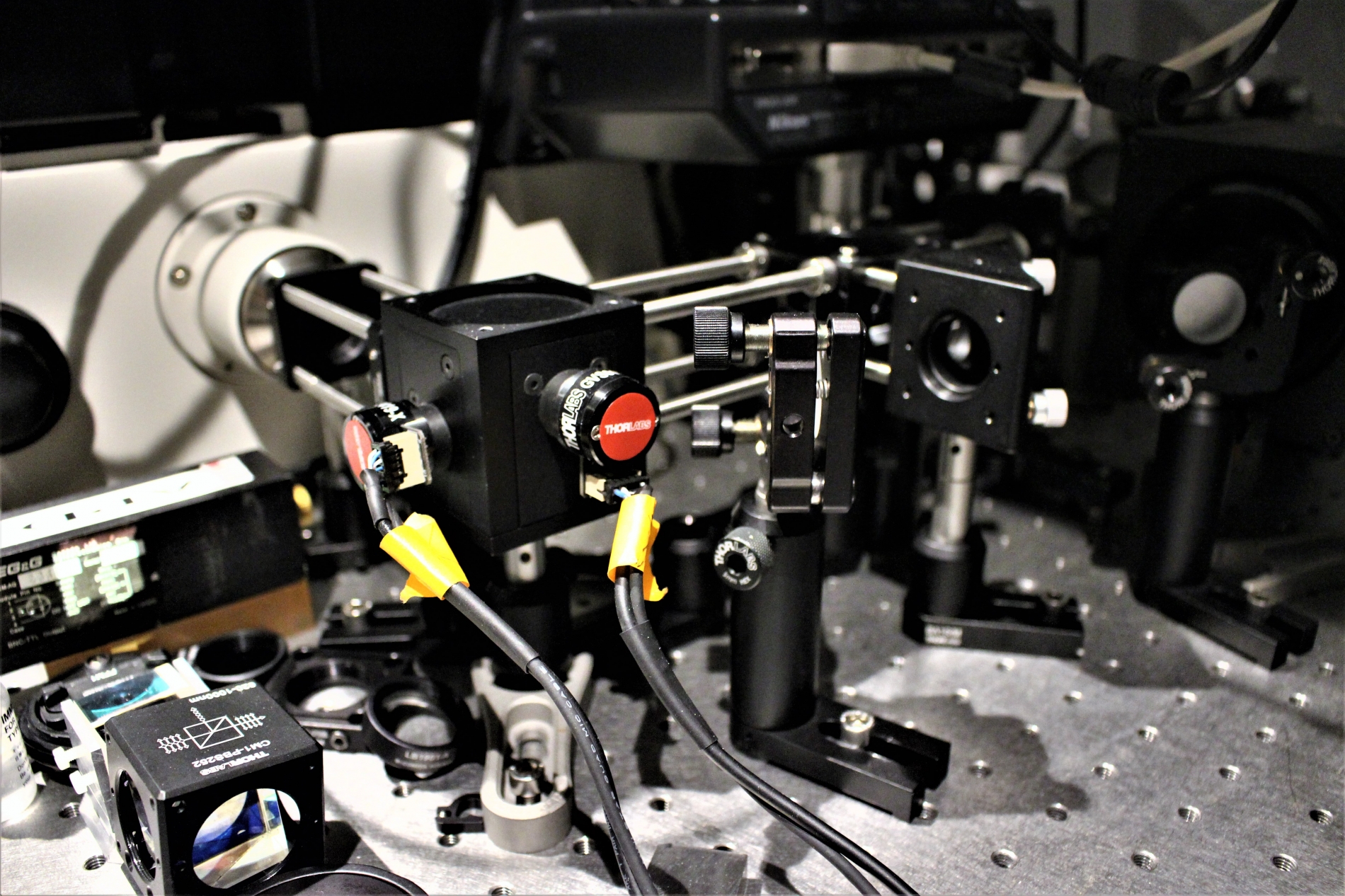 Lab-Pictures_19