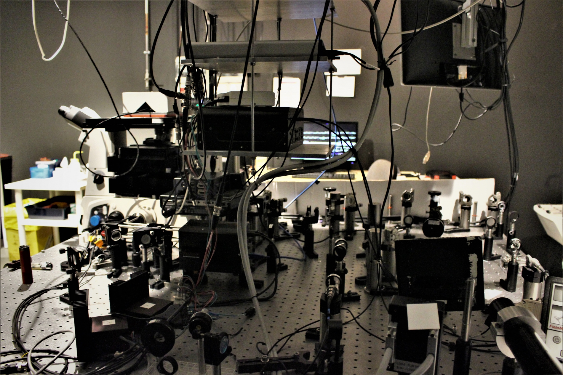 Lab-Pictures_20