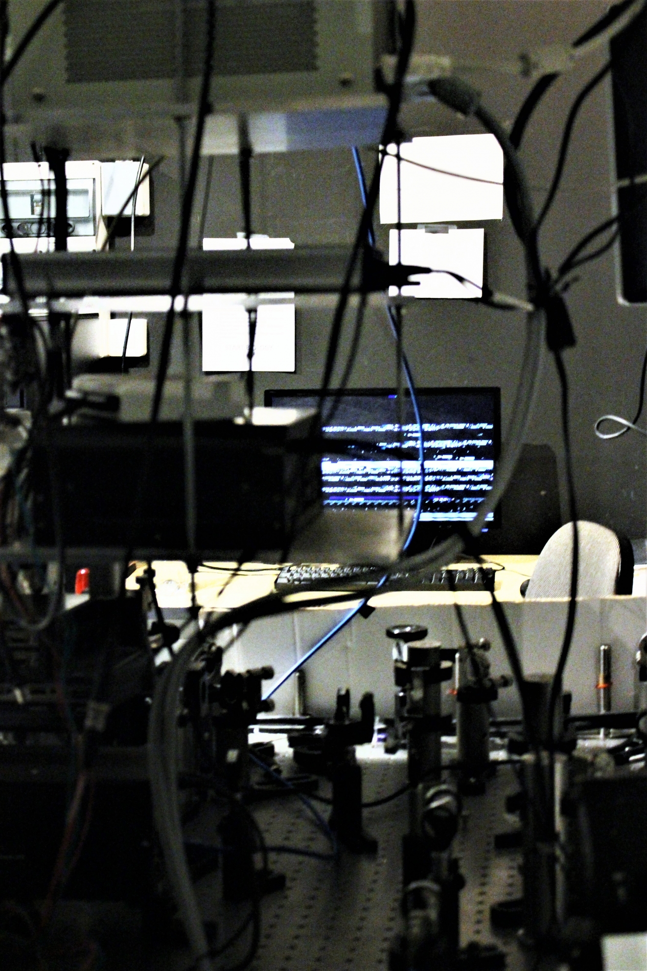 Lab-Pictures_23
