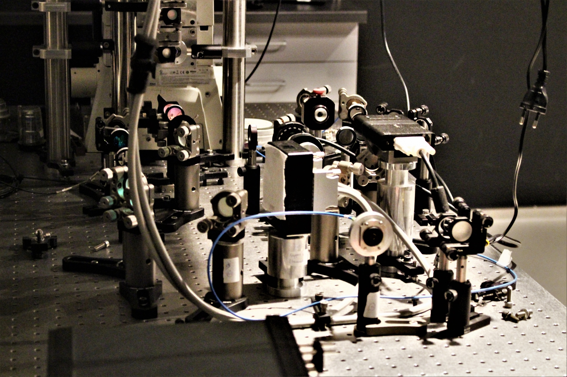 Lab-Pictures_24