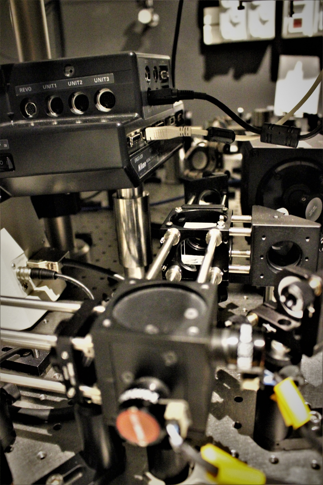 Lab-Pictures_25