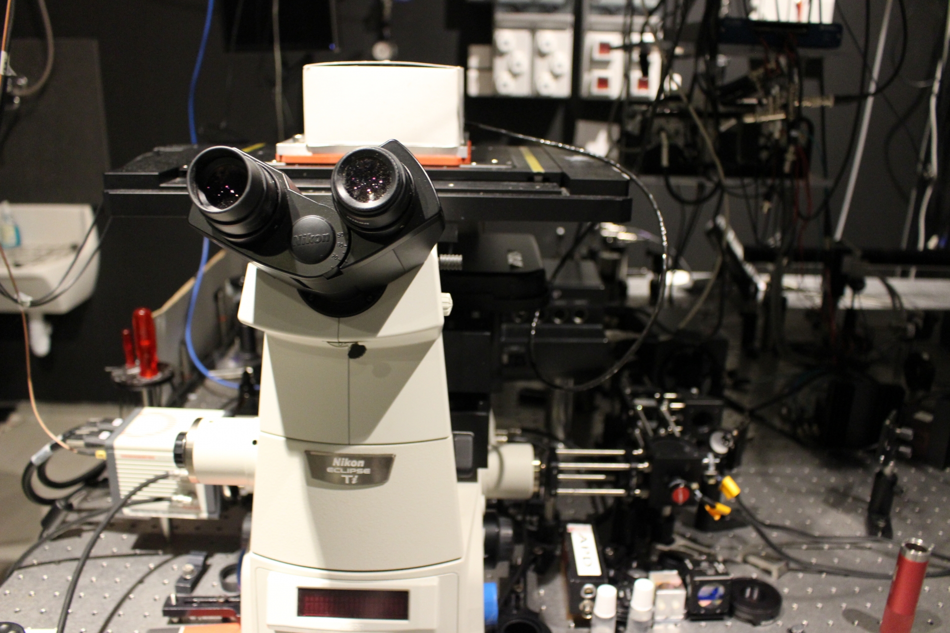 Lab-Pictures_26