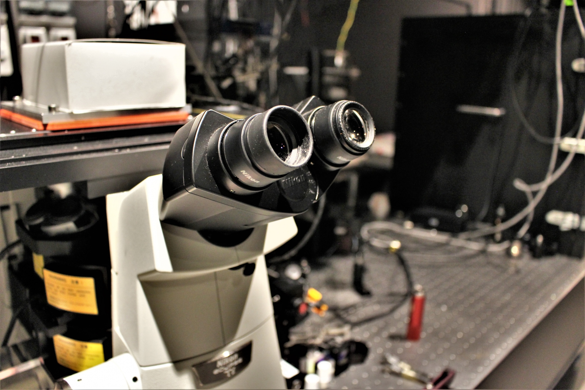 Lab-Pictures_27
