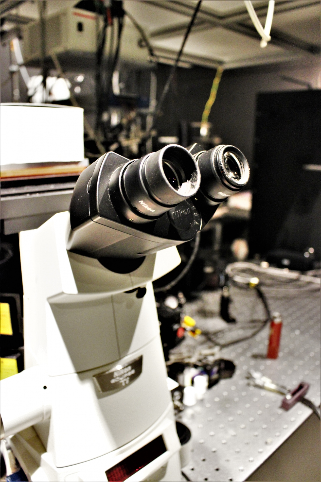 Lab-Pictures_28