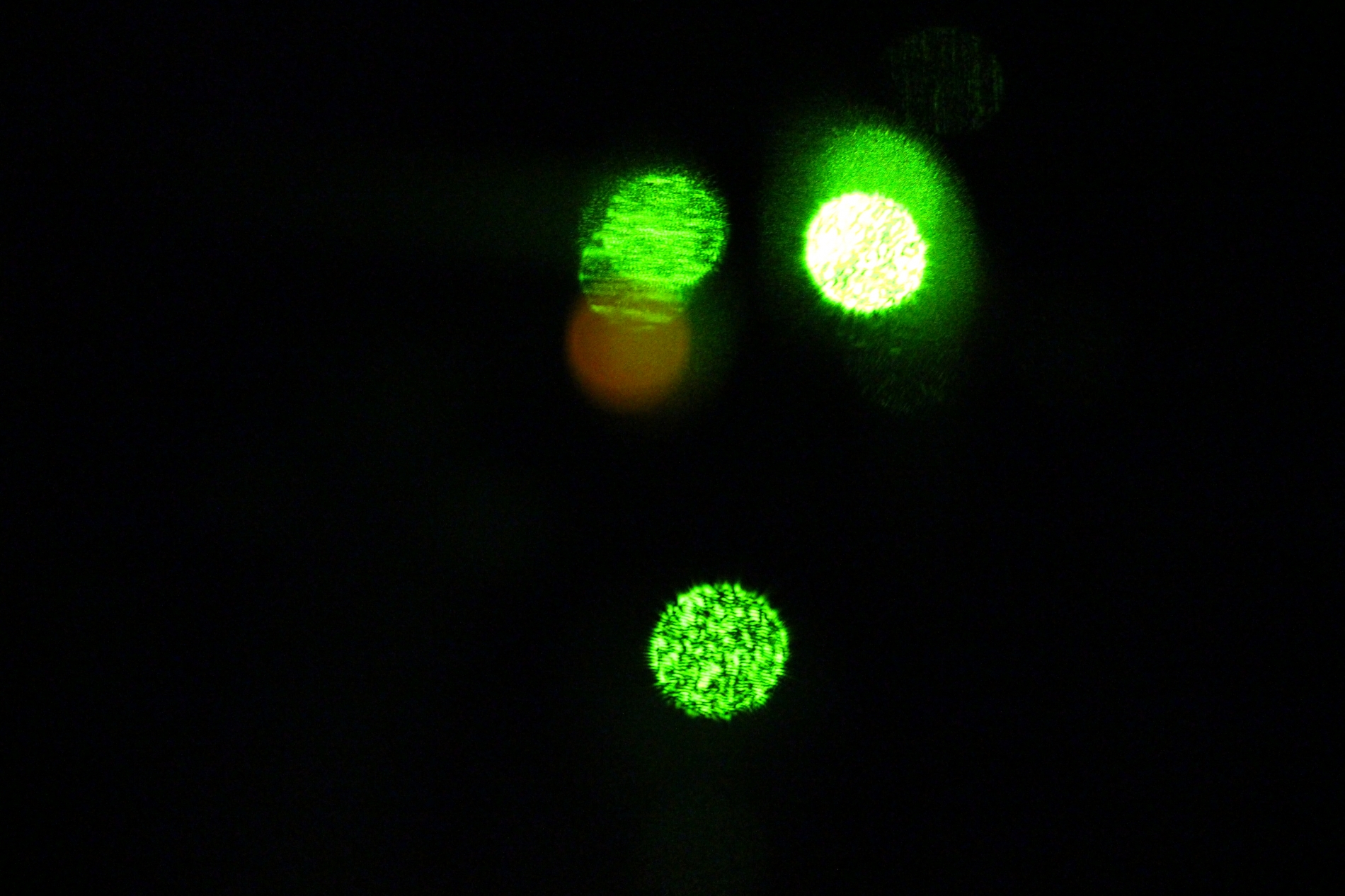 Lab-Pictures_3