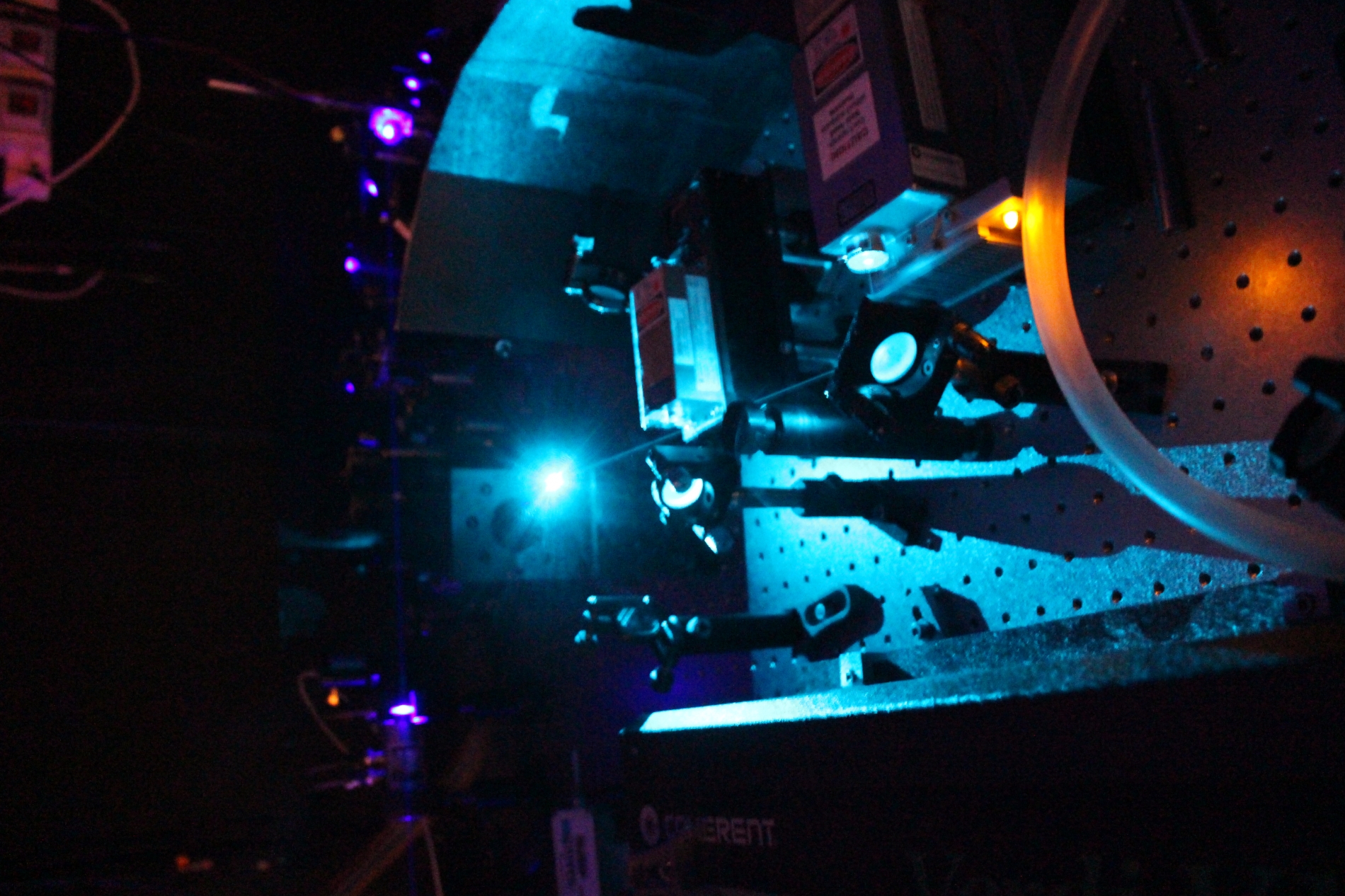 Lab-Pictures_48