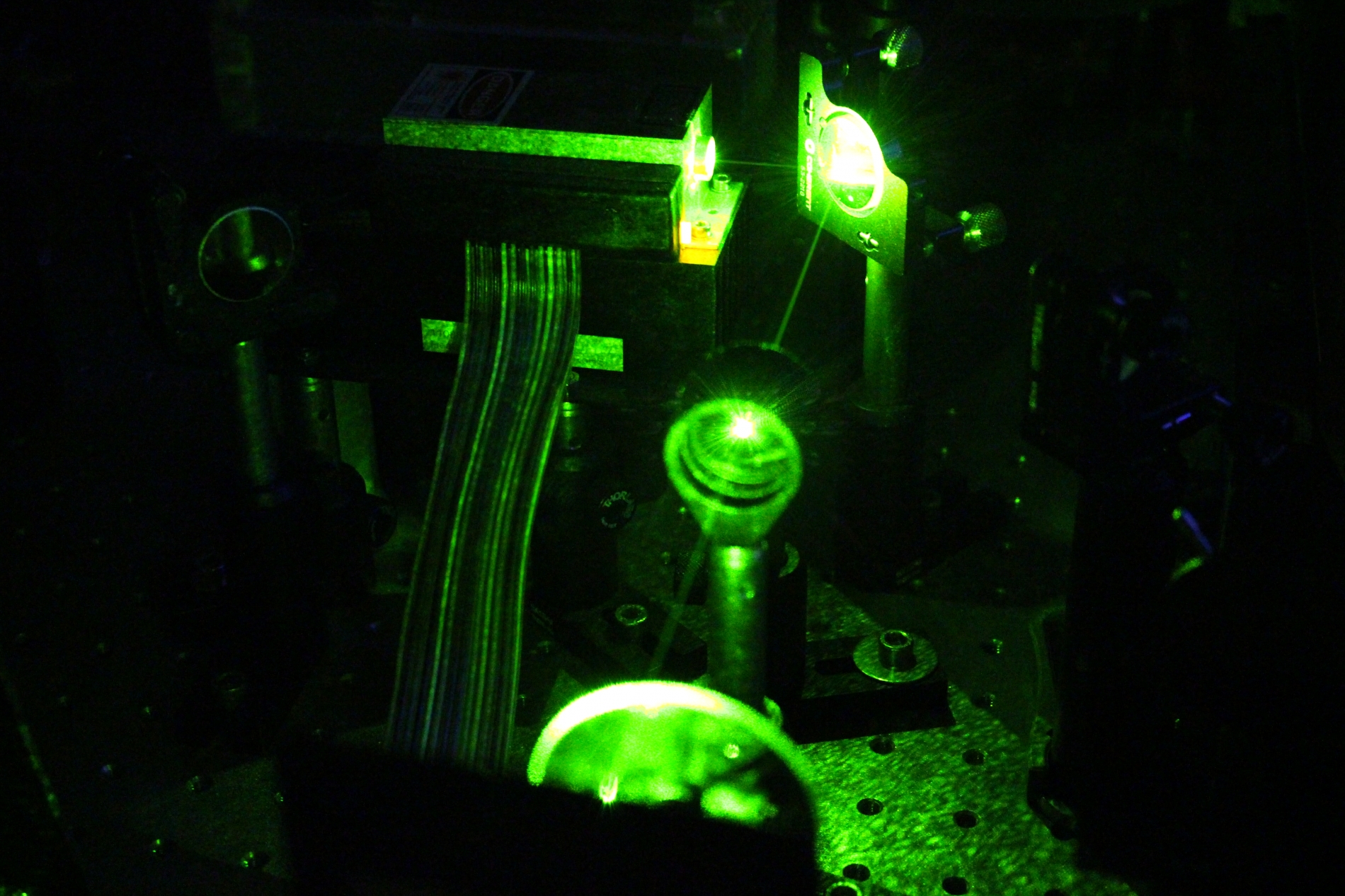 Lab-Pictures_4