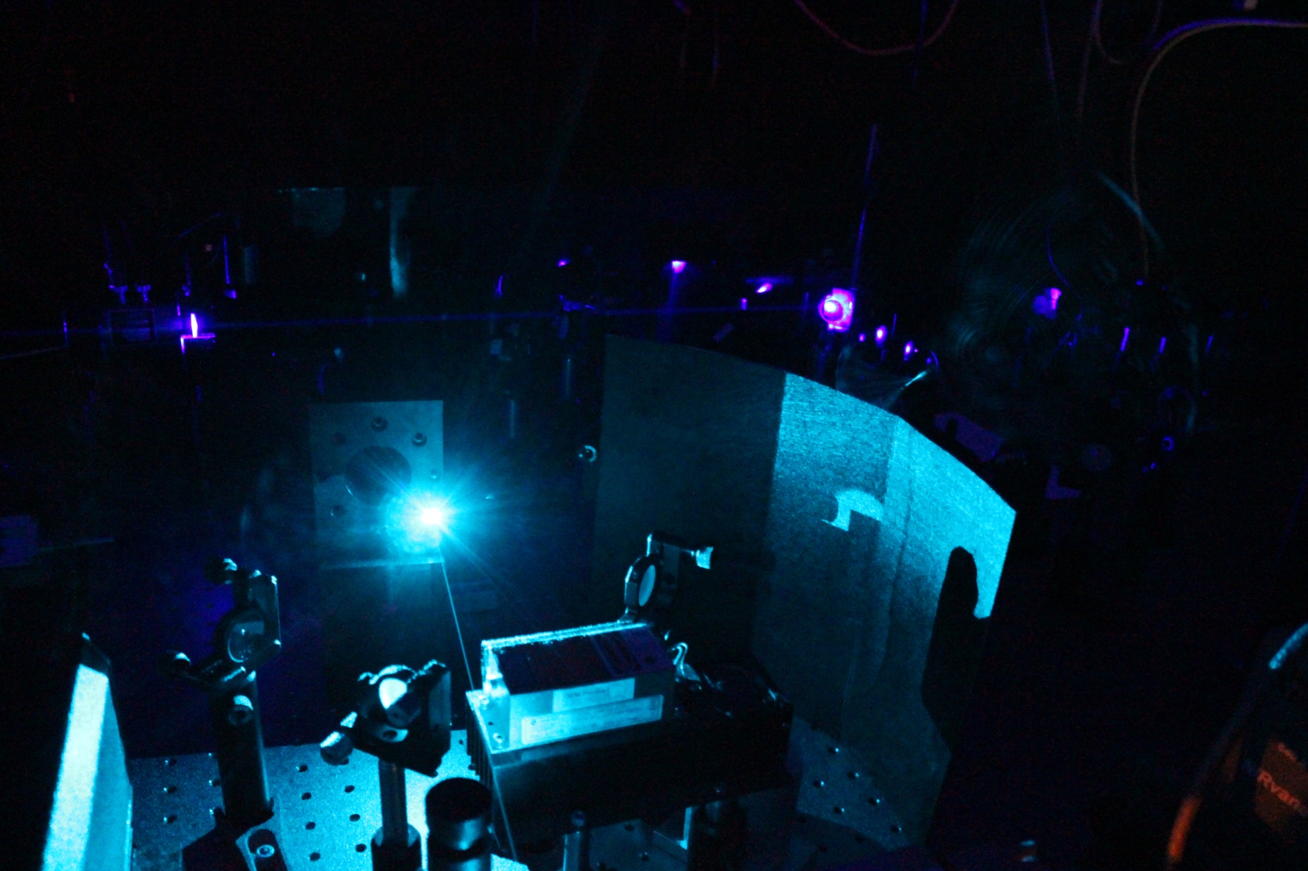 Lab-Pictures_60