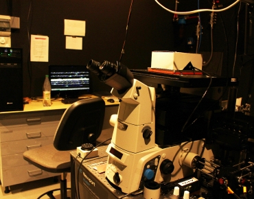 Lab-Pictures_15