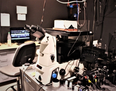 Lab-Pictures_16