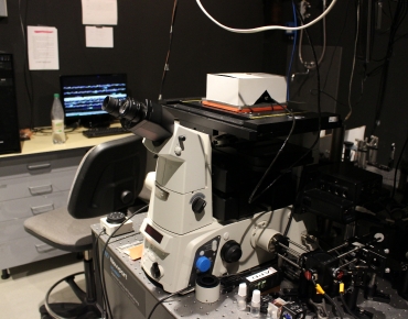 Lab-Pictures_17