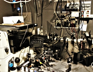 Lab-Pictures_18