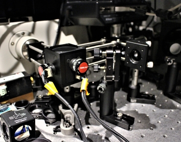 Lab-Pictures_19