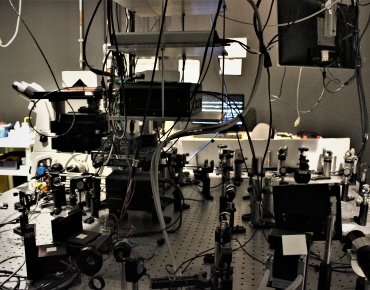 Lab-Pictures_20