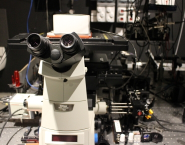 Lab-Pictures_26