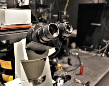 Lab-Pictures_27