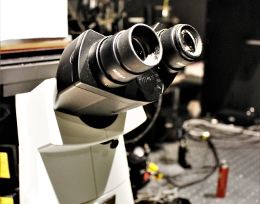 Lab-Pictures_28