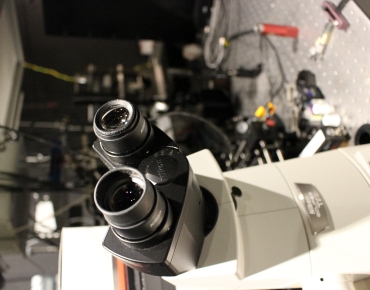 Lab-Pictures_29