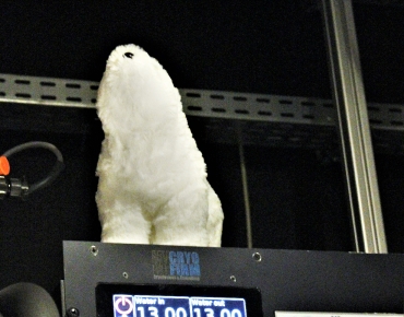 Lab-Pictures_34