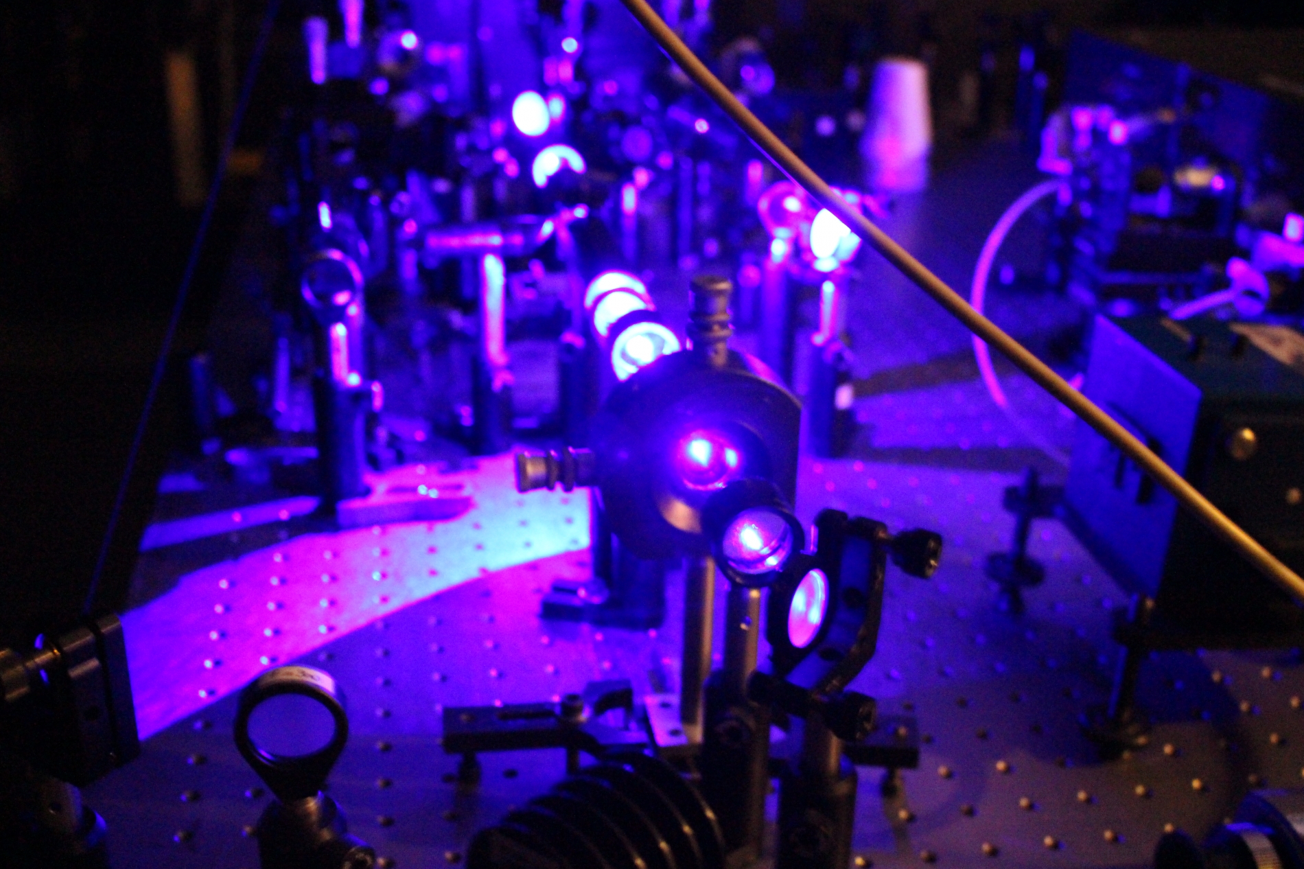 Lab-Pictures_41
