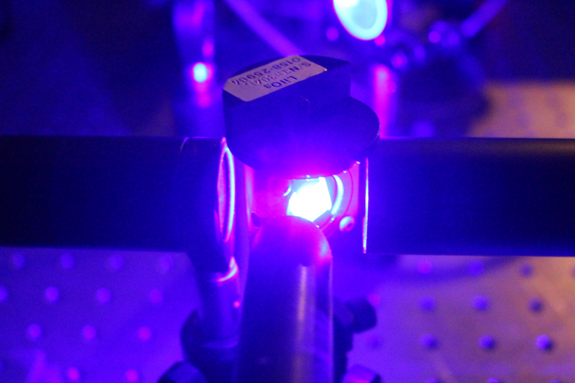 Lab-Pictures_45