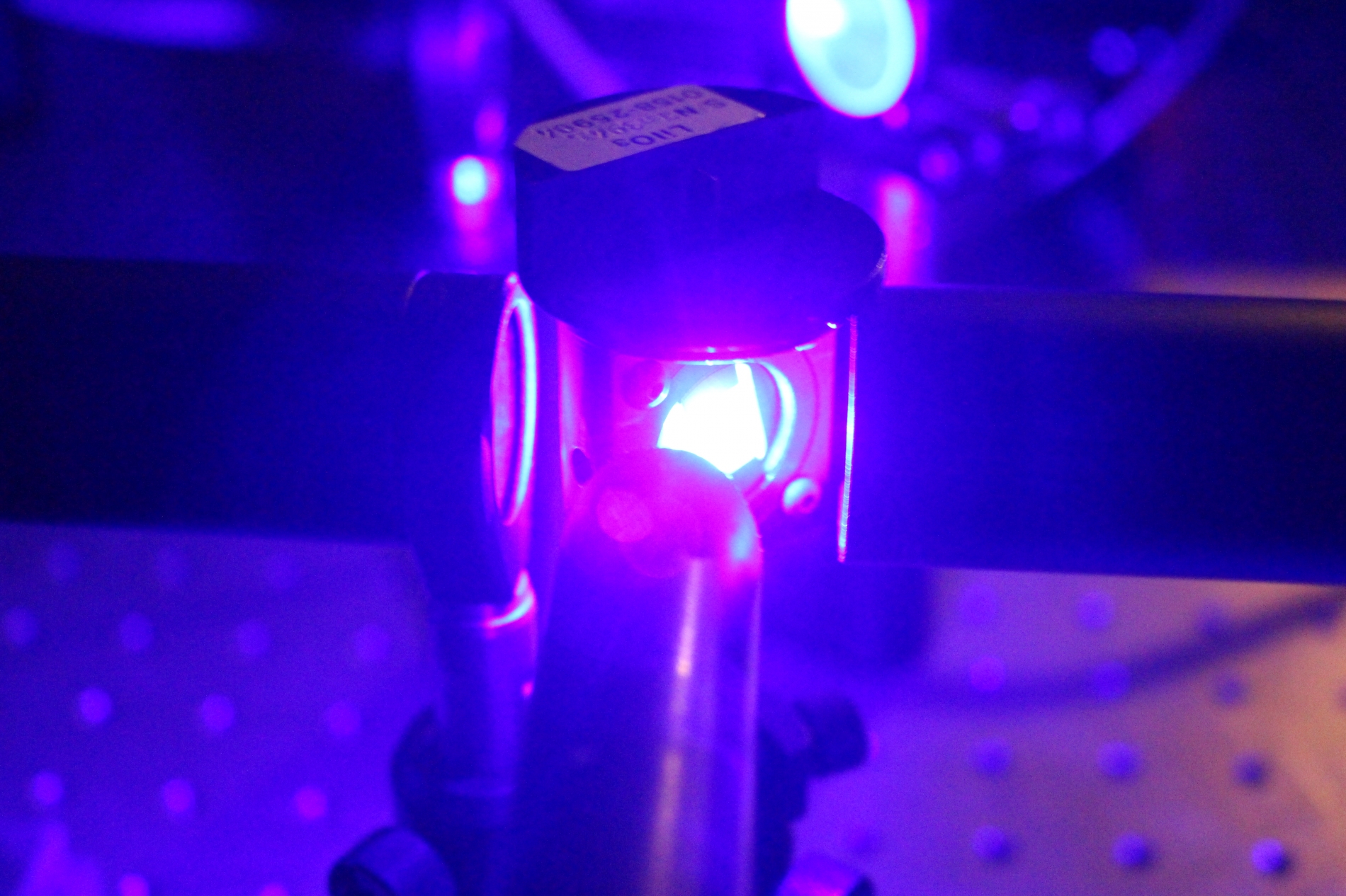 Lab-Pictures_46