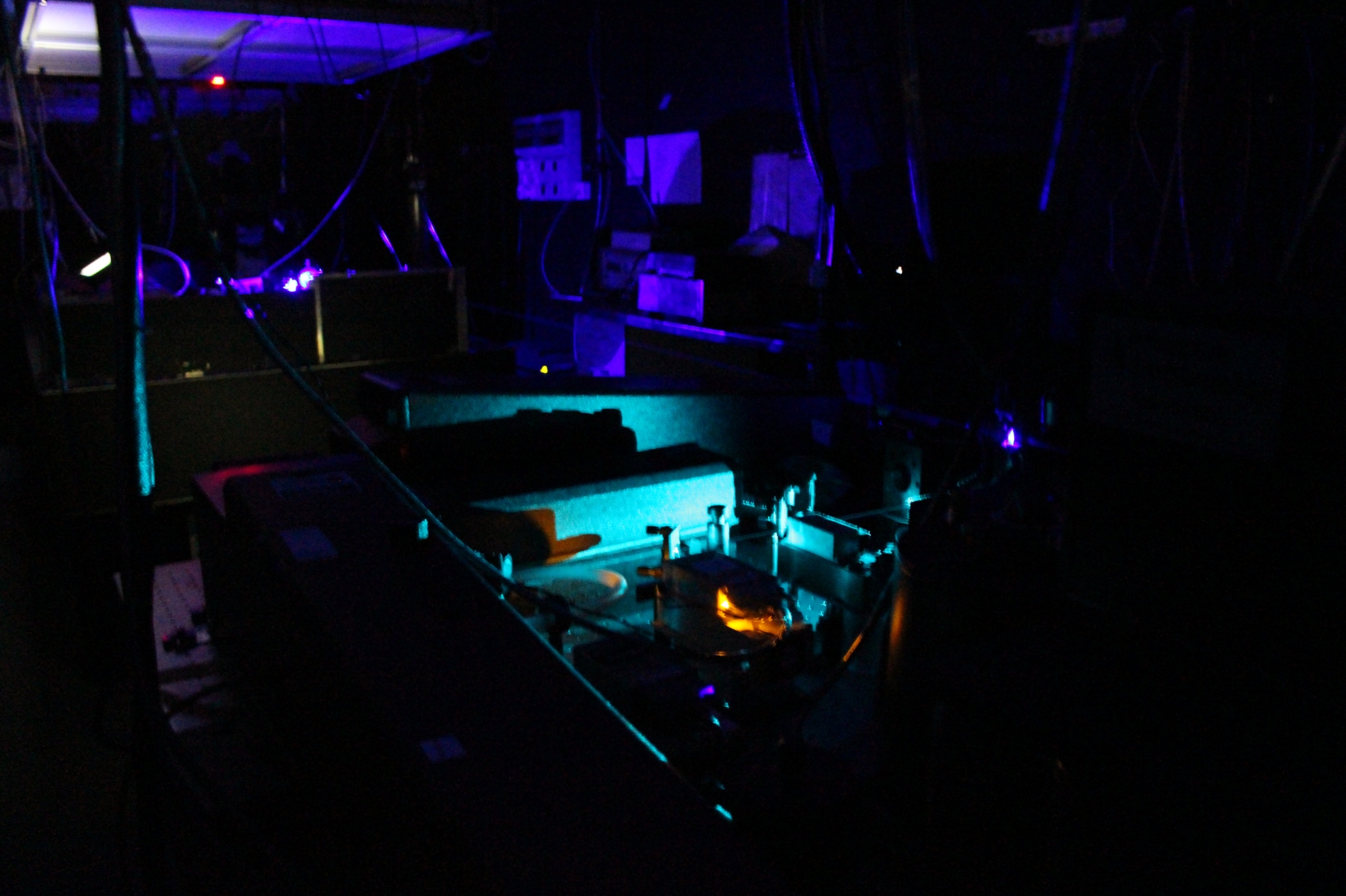 Lab-Pictures_65
